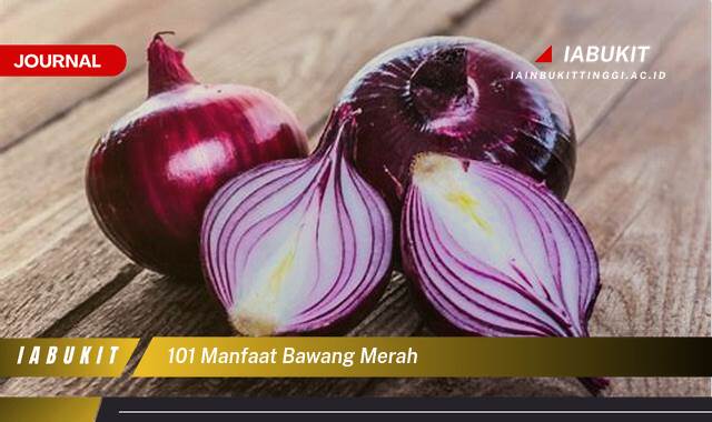 Inilah 101 Manfaat Bawang Merah untuk Kesehatan, Kecantikan, dan Rumah Tangga