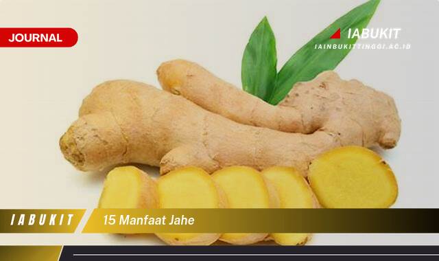 Inilah 15 Manfaat Jahe untuk Kesehatan yang Menakjubkan Inilah 15 Manfaat Jahe untuk Kesehatan yang Menakjubkan