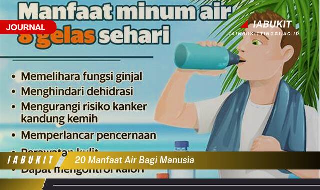 Inilah 20 Manfaat Air Bagi Manusia yang Wajib Anda Ketahui untuk Kesehatan Tubuh