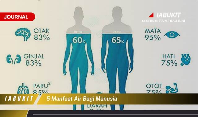 Inilah 5 Manfaat Air Bagi Manusia yang Penting untuk Kesehatan Anda