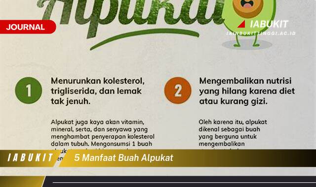 Inilah 5 Manfaat Buah Alpukat untuk Kesehatan Tubuh Anda