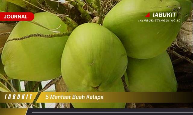 Inilah 5 Manfaat Buah Kelapa untuk Kesehatan Tubuh Anda