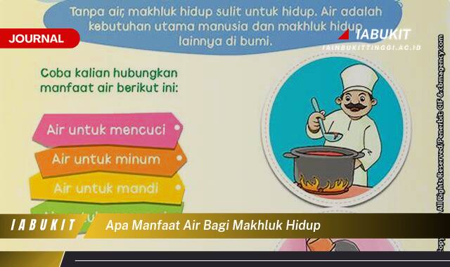 Inilah 10 Manfaat Air Bagi Makhluk Hidup, Panduan Lengkap dan Menyeluruh