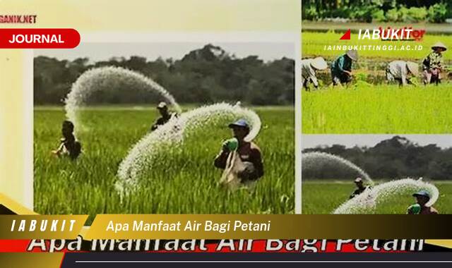 Ketahui 9 Manfaat Air Bagi Petani, Kunci Sukses Panen Melimpah dan Pertanian Berkelanjutan