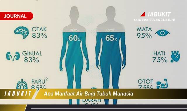 Inilah 8 Manfaat Air Bagi Tubuh Manusia, Panduan Lengkap untuk Kesehatan Optimal