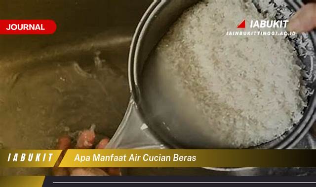 Inilah 9 Manfaat Air Cucian Beras untuk Kecantikan dan Kesehatan