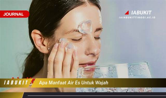 Inilah 9 Manfaat Air Es untuk Wajah, Kecantikan Alami yang Menyegarkan