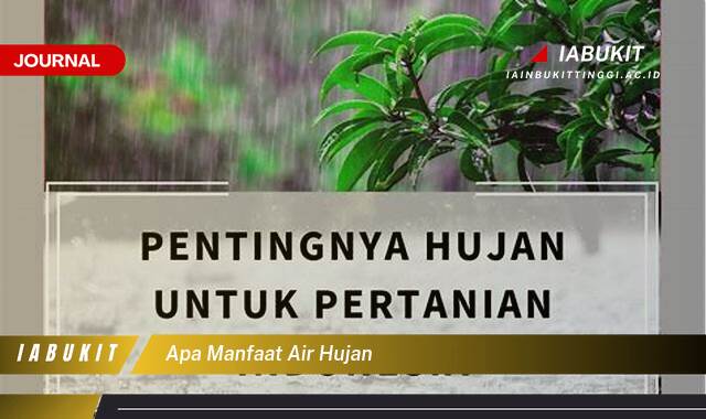 Inilah 8 Manfaat Air Hujan,  Untuk Tanaman, Kecantikan, dan Rumah Tangga Anda