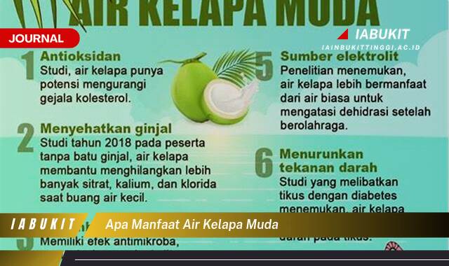 Inilah 9 Manfaat Air Kelapa Muda untuk Kesehatan Tubuh Anda