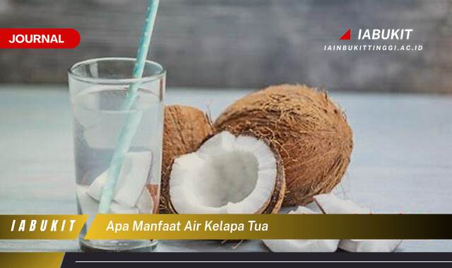 Inilah 10 Manfaat Air Kelapa Tua untuk Kesehatan dan Kecantikan