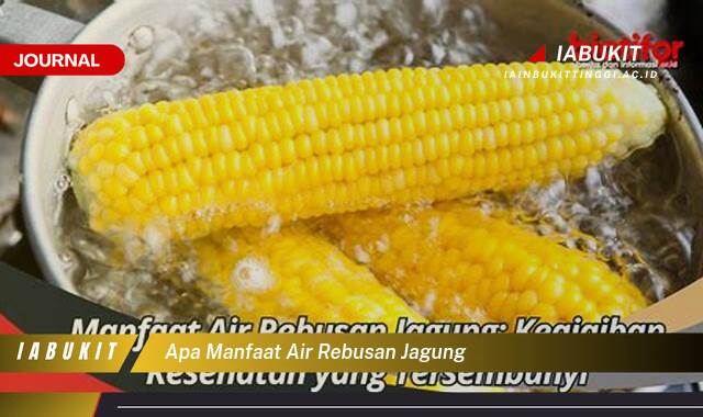 Inilah 8 Manfaat Air Rebusan Jagung untuk Kesehatan Anda yang Menakjubkan
