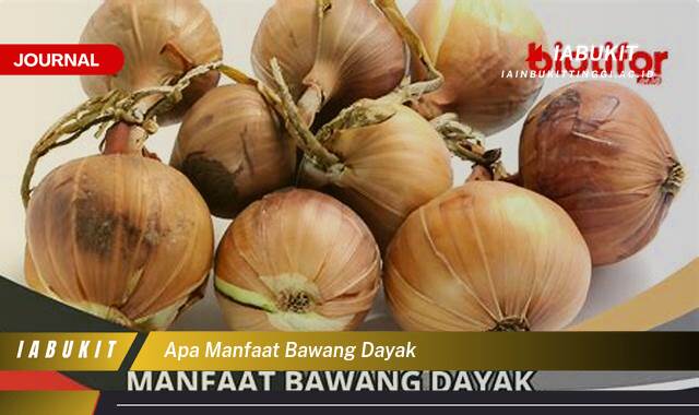 Inilah 9 Manfaat Bawang Dayak untuk Kesehatan Tubuh Anda