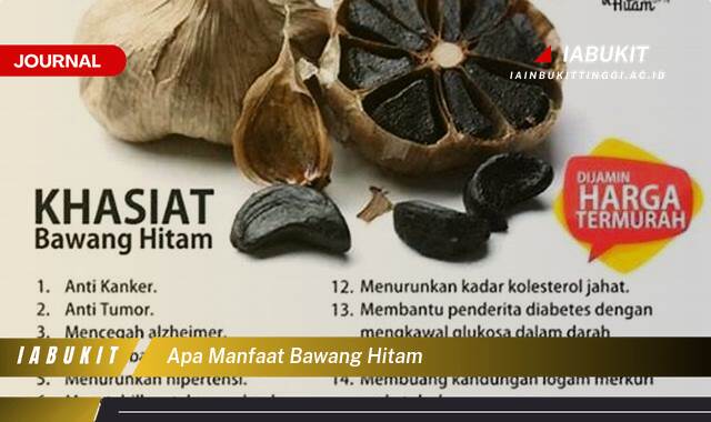 Inilah 8 Manfaat Bawang Hitam untuk Kesehatan Tubuh Anda