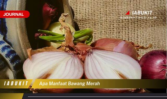 Inilah 10 Manfaat Bawang Merah untuk Kesehatan Tubuh Anda Inilah 10 Manfaat Bawang Merah untuk Kesehatan Tubuh Anda