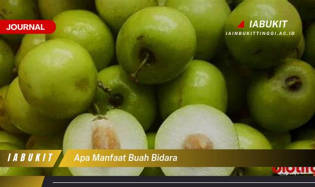 Inilah 9 Manfaat Buah Bidara untuk Kesehatan Tubuh Anda