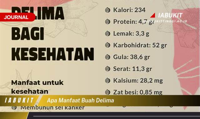 Inilah 8 Manfaat Buah Delima untuk Kesehatan Tubuh Anda