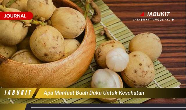 Inilah 8 Manfaat Buah Duku untuk Kesehatan Tubuh Anda Secara Keseluruhan