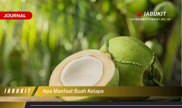 Inilah 9 Manfaat Buah Kelapa, Panduan Lengkap dari Akar Hingga Daun