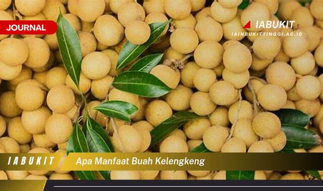 Inilah 8 Manfaat Buah Kelengkeng untuk Kesehatan Tubuh Anda