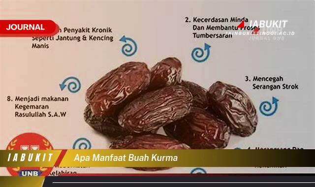 Inilah 9 Manfaat Buah Kurma untuk Kesehatan Tubuh Anda