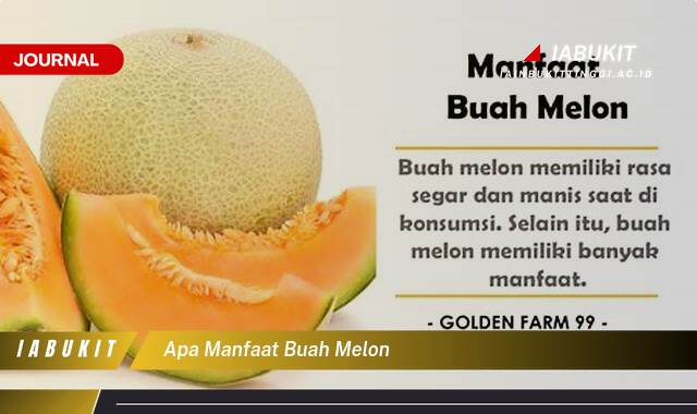 Inilah 8 Manfaat Buah Melon untuk Kesehatan, Kecantikan, dan Diet Anda