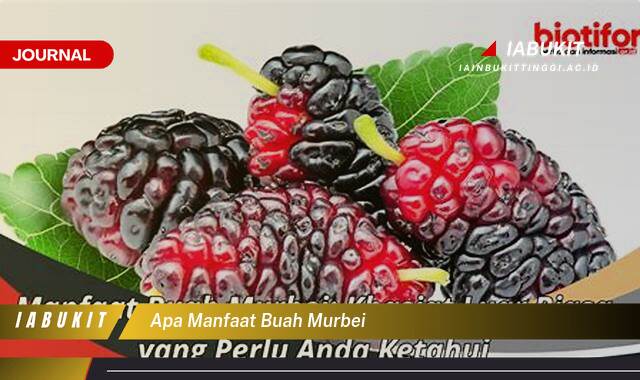 Inilah 8 Manfaat Buah Murbei untuk Kesehatan, Dari Meningkatkan Imunitas Hingga Menyehatkan Jantung