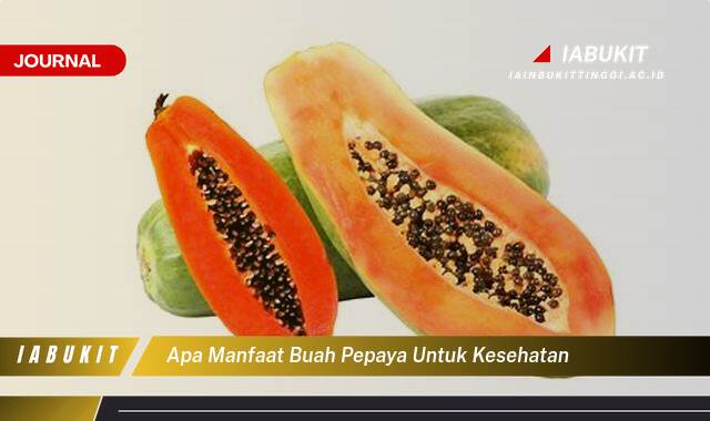 Inilah 8 Manfaat Buah Pepaya untuk Kesehatan, Kandungan Gizi dan Khasiatnya yang Luar Biasa