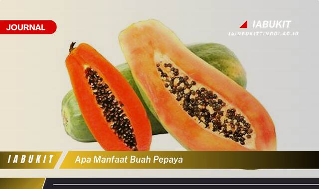 Inilah 10 Manfaat Buah Pepaya untuk Kesehatan, Kecantikan, dan Cara Mengonsumsinya Inilah 10 Manfaat Buah Pepaya untuk Kesehatan, Kecantikan, dan Cara Mengonsumsinya