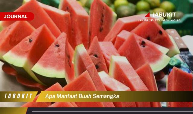 Inilah 9 Manfaat Buah Semangka untuk Kesehatan Tubuh Anda Inilah 9 Manfaat Buah Semangka untuk Kesehatan Tubuh Anda