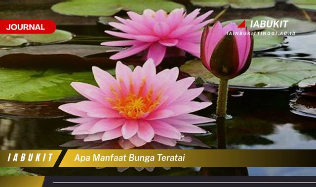 Inilah 8 Manfaat Bunga Teratai untuk Kesehatan dan Kecantikan Kulit
