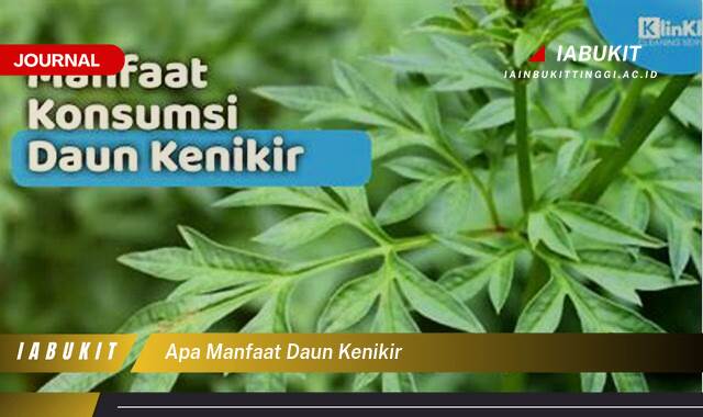 Inilah 8 Manfaat Daun Kenikir untuk Kesehatan Tubuh Anda