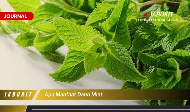 Inilah 20+ Manfaat Daun Mint untuk Kesehatan, Kecantikan, dan Lainnya