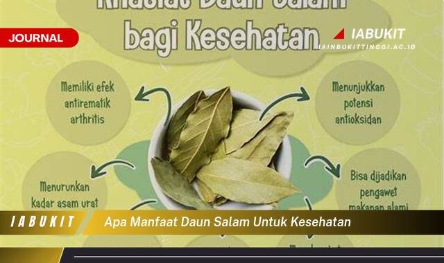 Inilah 9 Manfaat Apa Manfaat Daun Salam untuk Kesehatan, Khasiat Tersembunyi yang Wajib Anda Tahu