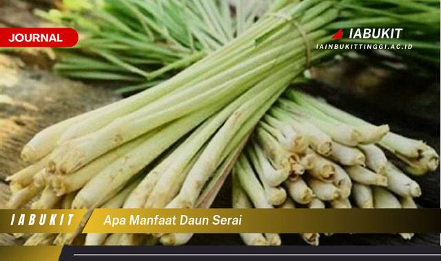 Inilah 10 Manfaat Daun Serai, Khasiat Luar Biasa untuk Kesehatan dan Kecantikan