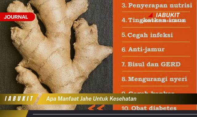 Inilah 10 Manfaat, Apa Manfaat Jahe untuk Kesehatan dan Cara Mengolahnya
