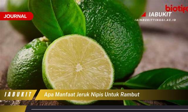 Inilah 8 Manfaat Jeruk Nipis untuk Rambut, Atasi Ketombe, Kuatkan Akar, dan Rambut Lebih Berkilau!