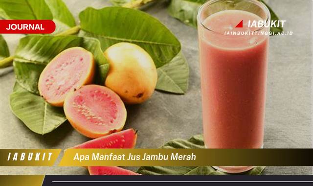 Inilah 10 Manfaat Jus Jambu Merah, Kandungan Nutrisi dan Khasiatnya Bagi Kesehatan