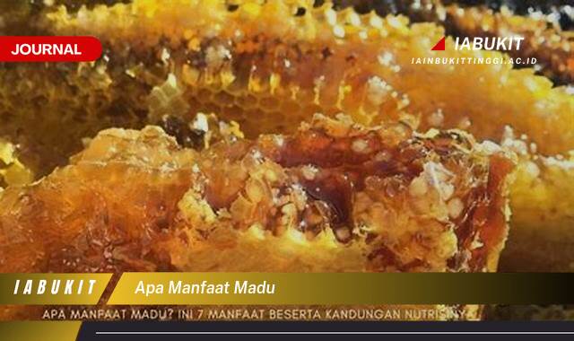 Inilah 8 Manfaat Madu, Panduan Lengkap dari Kesehatan Hingga Kecantikan