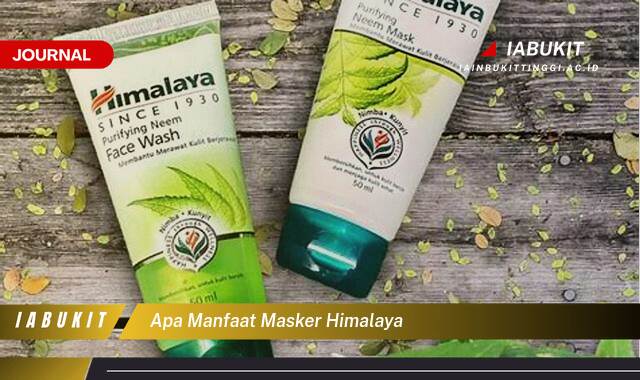 Inilah 9 Manfaat Masker Himalaya untuk Kulit Wajah Anda,  Solusi Alami untuk Kecantikan