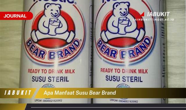 Inilah 9 Manfaat Susu Bear Brand untuk Kesehatan Tubuh Anda