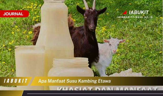 Inilah 9 Manfaat Susu Kambing Etawa untuk Kesehatan Tubuh Anda