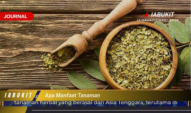 Inilah 8 Manfaat Tanaman Bagi Kehidupan Manusia dan Lingkungan