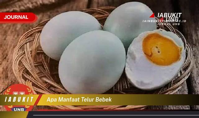 Inilah 9 Manfaat Telur Bebek untuk Kesehatan, Kecantikan, dan Lainnya
