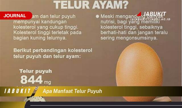 Inilah 9 Manfaat Telur Puyuh, Kandungan Gizi dan Efeknya Bagi Kesehatan Tubuh
