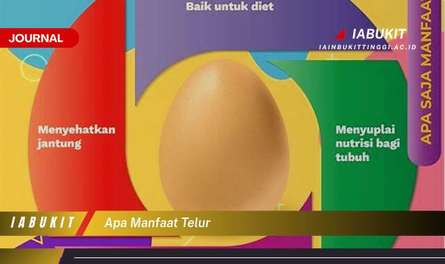 Inilah 10 Manfaat Telur, Panduan Lengkap dari Nutrisi hingga Cara Memasak