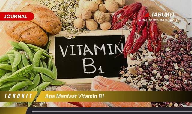 Inilah 9 Manfaat Vitamin B1 untuk Kesehatan Tubuh Anda Inilah 9 Manfaat Vitamin B1 untuk Kesehatan Tubuh Anda