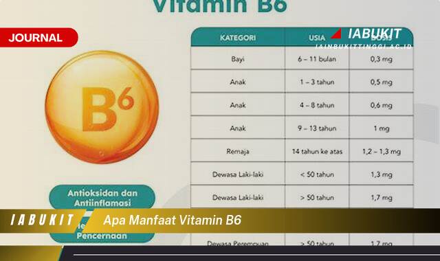 Ketahui 9 Manfaat Vitamin B6 untuk Kesehatan Tubuh Anda Secara Keseluruhan