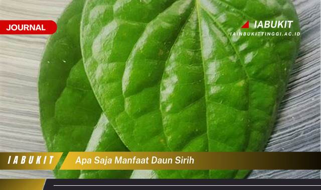 Inilah 8 Manfaat Daun Sirih, Khasiat Luar Biasa untuk Kesehatan Tubuh Anda