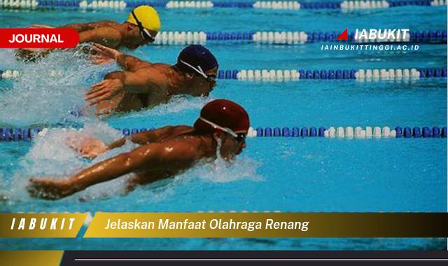 Inilah 8 Manfaat, Jelaskan Manfaat Olahraga Renang untuk Kesehatan Jantung, Otot, dan Pernapasan