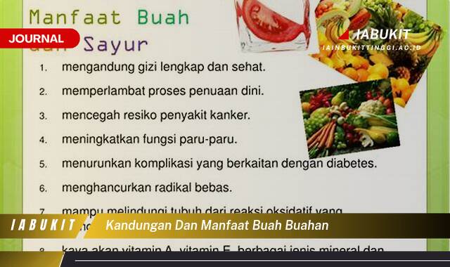 Ketahui 9 Manfaat Buah,buahan, Ragam Kandungan dan Khasiatnya untuk Kesehatan